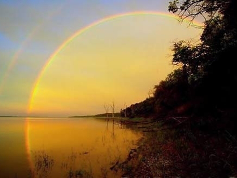 Ch&ugrave;m lục b&aacute;t Trương Đ&igrave;nh Phượng (Quỳnh Lưu, Nghệ An)